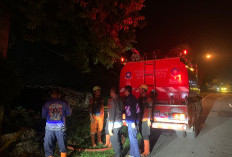 Gudang Kayu di Bantul Terbakar Dini Hari, Kerugian Ditaksir Rp48 Juta