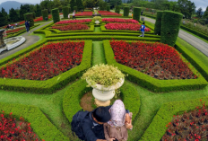 Keindahan Alam Cianjur, Ini Promo dan Daya Tarik Taman Bunga Nusantara 2026