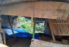 Hujan Deras Picu Rumah Rusak di Danurejan, Kandang Ayam Ambrol hingga Warga Numpang Kamar Mandi