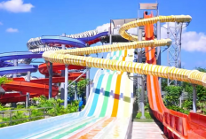 Yuhu! Ini Rekomendasi Destinasi Wisata Keluarga Paling Populer di Makassar, Simak Informasi Selengkapnya