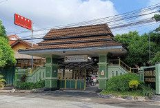 Kejutan SPMB DIY 2026, SMAN 8 Yogyakarta Puncaki Passing Grade, Sekolah Non Kota Yogyakarta Tembus 10 Besar