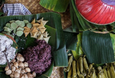 Pesona di Desa Wisata Bonjeruk Lombok Tengah dan Agrowisata Buah Jeruk yang Memukau