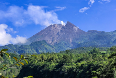 Menjelajahi Deles Indah, Destinasi Easy Hiking Paling Mempesona di Lereng Merapi Klaten