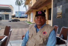 112 Titik Terdampak Cuaca Ekstrem di Bantul, Pohon Tumbang dan Gerakan Tanah Jadi Ancaman Utama