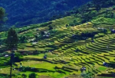 Update Akses Jalur Citalahab dan Rute Alternatif Terbaru di Desa Wisata Malasari, Cek Info Selengkapnya Disini