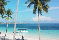 Daftar Destansi Wisata Bulukumba Jadi Surga Tersembunyi di Sulawesi, Simak Informasi Lengkapnya Berikut Ini