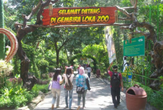 Informasi Lengkap Pesona Gembira Loka, Destinasi Wisata Edukasi Legendaris di Yogyakarta