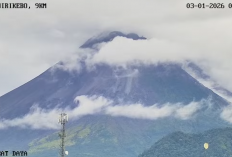 Awan Panas Guguran Terjadi di Merapi Pagi Ini, BPPTKG Ungkap Detailnya