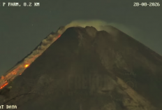 Merapi Muntahkan Awan Panas 2 Km, BPPTKG Deteksi Aktivitas Jumat Malam
