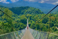 Wisata Terbaru 2026 Paling Wajib Dikunjungi, Yuk Eksplorasi Keajaiban Alam Sukabumi