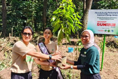 Sharp Indonesia Hijaukan Habitat Elang Jawa Melalui Penanaman 600 Pohon