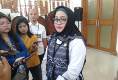 Tahun Baru 2026 di Jogja, Pemda DIY Ajak Warga Kurangi Euforia Kembang Api