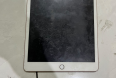 Mahasiswi Kehilangan Tas Berisi iPad dan iPhone di Dasbor Motor, Kerugian Rp25 Juta