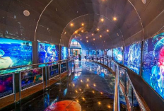 Memukau Dengan Inovasi Barunya, Cek Wajah Baru Planetarium Jakarta Simak Informasi Selengkapnya