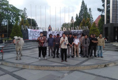 BEM UGM Surati UNICEF Usai Tragedi Anak Bunuh Diri di NTT, Singgung Prioritas Anggaran Pemerintah