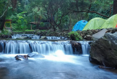 Intip Daftar Rekomendasi Objek Wisata Unggulan di Kabupaten Subang, Berikut Informasi Selengkapnya