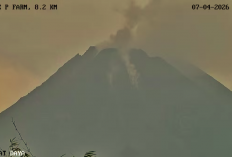 Awan Panas Guguran Gunung Merapi Luncur 1,8 Km, BPPTKG: Warga Jauhi Alur Sungai Berhulu Merapi
