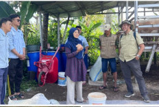 Dari Peternakan Domba, Sinatria Tumbuh Menjadi Ekosistem Kedaulatan Pangan