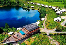 Pilihan Destinasi Outing Bandung 2026 Glamping Eksotis dan Petualangan Outbound Seru