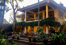 Menjadi Rekomendasi Daftar Akomodasi Pilihan untuk Relaksasi Maksimal di Salatiga, Simak Ulasan Selengkapnya