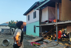 Gempa M7,7 Guncang NTT, 61 Mahasiswa KKN UMY Selamat dan Bantu Evakuasi Warga