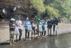 Satu Persatu Suaka Perikanan Di Bantul Mulai Tumbuh, Suaka Perikanan Sungai Gawe Mulai Berbuah