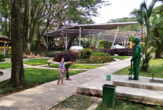 Eksplorasi Rekomendasi Destinasi Wisata Malam Ramah Anak di Bogor 