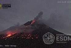 Merapi Keluarkan Awan Panas Malam Hari, Luncur 1,1 Km ke Kali Putih