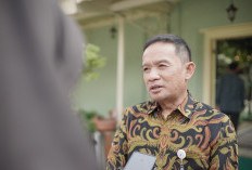 Ketersediaan Stok Beras Wilayah DIY Diklaim Aman Hadapi El Nino, Penyerapan Capai 148 Ribu Ton Beras