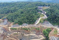 Cocok Dikunjungi Saat Libur Nataru 2025/2026, Intip Permata Tersembunyi di Purworejo, Cek Info Selengkapnya 