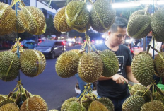 Rekomendasi Street Food Murah Meriah Sekitar Stasiun Mangga Besar, Cek Ulasan Selengkapnya Disini