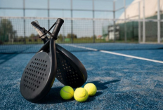 Rekomendasi Arena Main Padel Modern di Yogyakarta dan Solo, Simak Referensi Lengkapnya Berikut Ini