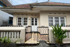 Nostalgia di Kampung Heritage Kajoetangan Malang Ramai Wisatawan, Simak Ulasannya Berikut Ini