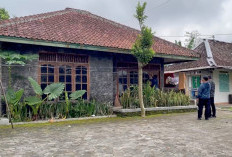 Polisi Periksa Bidan dan Pengasuh Buntut 11 Bayi Ditemukan di Rumah Pakem Sleman