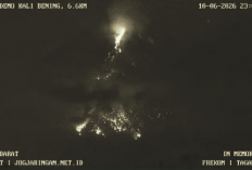 Gunung Merapi Kembali Aktif, 141 Guguran dan 1 Awan Panas Tercatat dalam Sehari