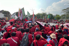 Aliansi UMY Bergerak dan BEM Nusantara DIY Demo di Titik Nol Jogja, Desak Prabowo-Gibran Bertanggung Jawab
