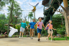 Cek Rincian Harga Tiket Promo Jakarta Bird Land, Jadwal Bird Show dan Wahana Interaktifnya