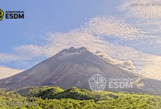 Merapi Masih Siaga Awal 2026, Guguran Lava Dominasi Aktivitas Sepekan