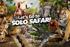 Kemeriahan Malam Pergantian Tahun dan Liburan Nataru 2025 di Kota Solo, Cek Info Selengkapnya Disini