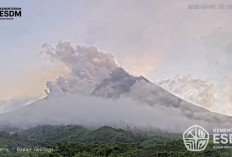 BPPTKG Laporkan Awan Panas Guguran Merapi Dua Kali, Status Masih Siaga