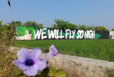 Mural Yogyakarta, Dari Kritik Sosial hingga Ekspresi Dukungan, Seni Jalanan yang Kian Berkembang