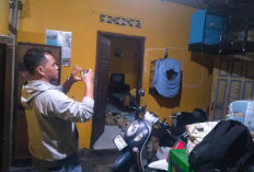 Maling Motor Gagal, 3 Burung Kenari Raib di Ringroad Selatan Bantul