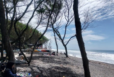 Kunjungan Wisata Januari Tembus 155 Ribu, PAD Bantul Baru 7,7 Persen dari Target