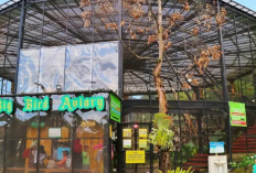Spot Kuliner di Lembang Park Zoo yang Nyaman, dan Praktis Tanpa Ribet Waktu Liburan 