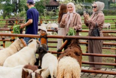 Rekomendasi Destinasi Wisata Alam Jawa Barat dengan Pemandangan Memukau, Cek Info Selengkapnya Disini