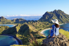 Jangan Tergiur Harga Murah! Ini Cara Validasi Agen Wisata Komodo Terpercaya untuk Liburan 