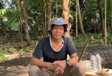 Dari Limbah Dapur Jadi Pupuk Cair, Supriyadi Kembangkan Budidaya Kedelai Organik di Sleman
