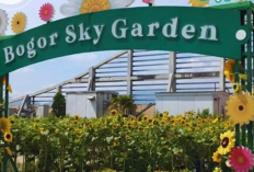 Menjelajahi Bogor Destinasi Liburan Pelepas Penat Terpopuler Paling Wajib Dikunjungi Berikut Info Lengkapnya