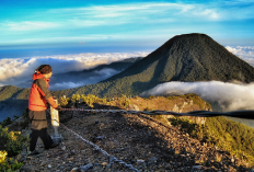 Tutup Sementara Waktu, Ini Daftar Gunung dan Status Jalur Pendakian Akhir Tahun Berikut Info Lengkapnya