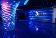 Promo BxSea, Modal Nilai Rapor 80, Bisa Menjelajahi Dunia Bawah Laut Tanpa Biaya